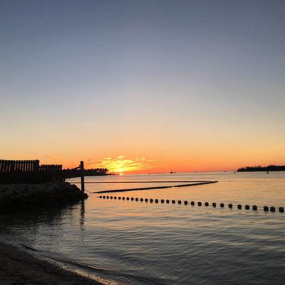 Meet Your Posher! - Picture 2 of 4